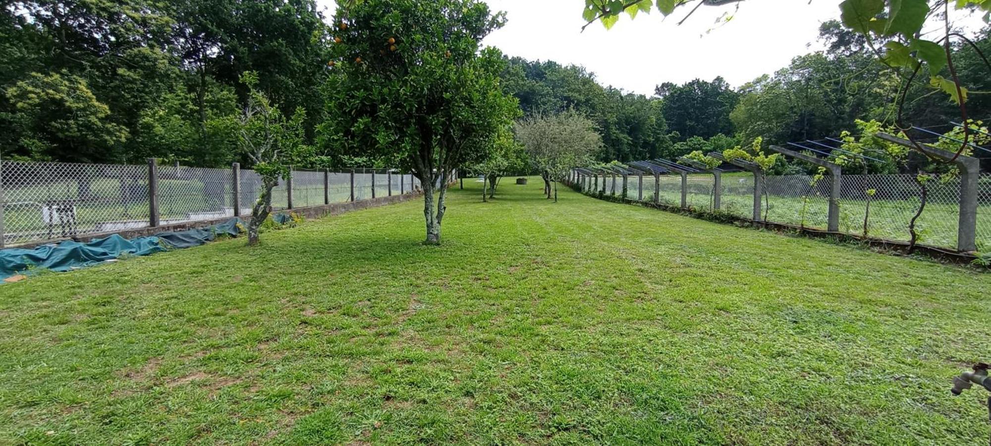 Agro Do Souto, Noia - Villa Completa Экстерьер фото